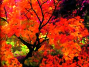 photo Rendez-vous au jardin