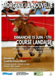 photo Course landaise