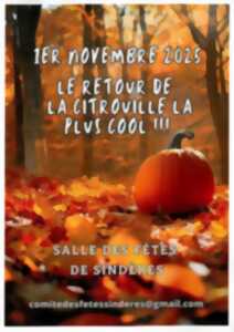 photo Le retour de la citrouille la plus cool !!!