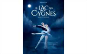 Spectacle : Le Lac des Cygnes