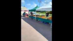 Marché de Quiers-sur-Bezonde - Mercredi