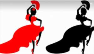 photo Spectacle Flamenco