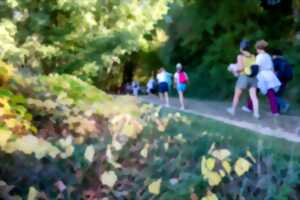 photo SAVEURS EN RANDO A VILLAUDRIC