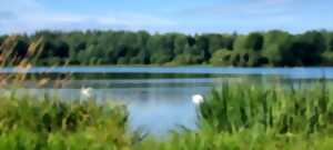 photo Balade contée à Chambonchard