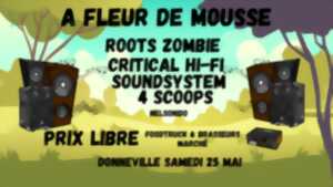 photo FESTIVAL A FLEUR DE MOUSSE