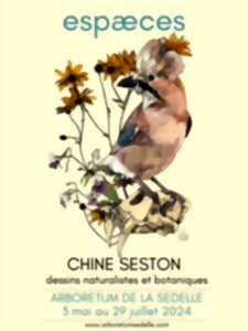 photo Exposition Sacrebleu