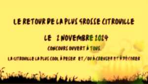 photo Le retour de la citrouille la plus cool !!!