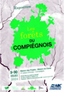 Les forêts du Compiégnois