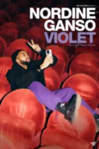 photo SPECTACLE: NORDINE GANSO DANS VIOLET- HUMORISTE