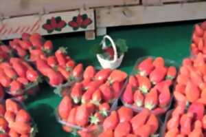 Marché Gourmand dans le  cadre de la Fête de la Fraise