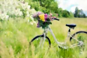 photo Mai à vélo | Accompagnement collecte biodéchets à vélo