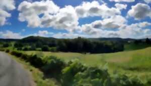 photo Sortie Nature : Découverte de la flore des prairies et des tourbières du Suquet de la Grolle