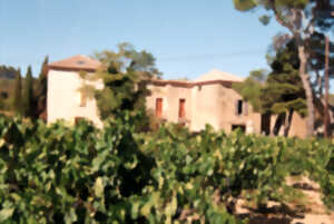 photo PIQUE-NIQUE CHEZ LES VIGNERONS- DOMAINE LES TUILERIES