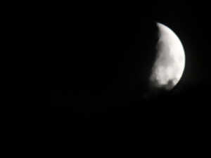 photo Un soir de plein lune sur la prairie de l'étang Massé