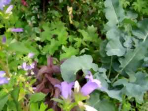Rendez-vous aux jardins - Le jardin du bout de la forêt