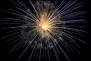 photo Bal et feux d'artifice