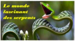 photo Conférence - Zanzibar, perle de l'océan indien