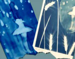 photo Atelier Cyanotype
