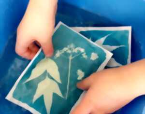 photo Atelier cyanotype 