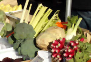 photo Marché Hebdomadaire Dun-sur-Auron