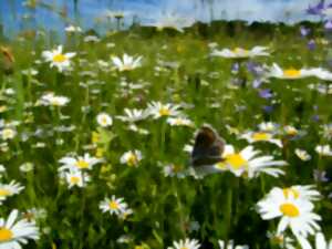 FESTIVAL DU PATRIMOINE NATUREL -  LA BIODIVERSITÉ DES MILIEUX OUVERTS