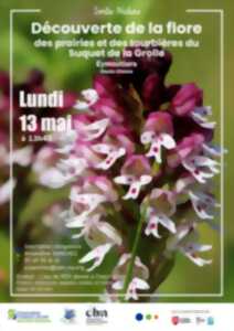 photo Sortie Nature : Découverte de la flore des prairies et des tourbières du Suquet de la Grolle