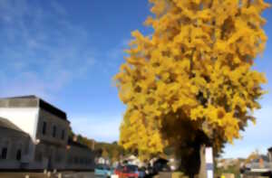 photo Vide-greniers