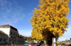 Vid'broc de rue et anniversaire des 160 ans de la gare