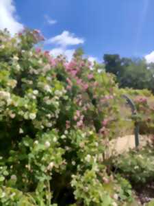 photo Fête des mères aux Jardins Sothys