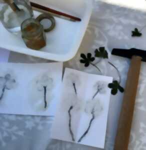 photo Atelier d’impressions végétales par martelage : tataki zome