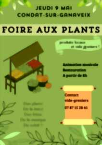 photo Foire aux plants