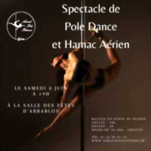 photo Spectacle de Pole Dance et Hamac Aérien