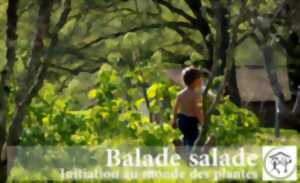 photo Balade salade – Initiation au monde des plantes