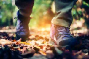Randonnée pédestre d'automne