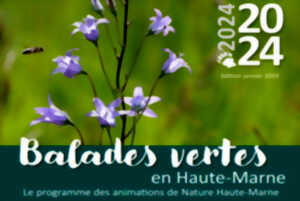 photo BALADES VERTES EN HAUTE-MARNE : DECOUVERTE DES ORCHIDEES SAUVAGES