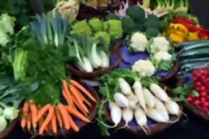 Marché bio à Lendou-en-Quercy