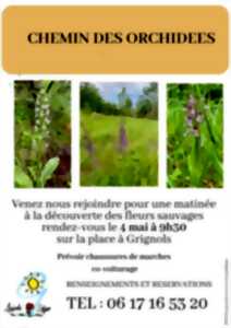 Chemin des Orchidées