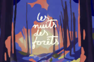 photo LES NUITS DES FORÊTS : COTON LA SIESTE MUSICALE