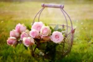photo Saint Cyprien en Fleurs