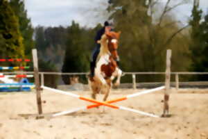 Concours de saut d'obstacles national