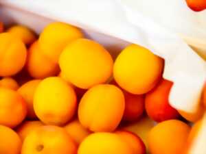 photo Marché de Grignols le mercredi