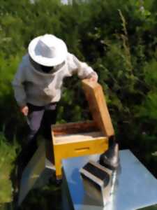 photo J'installe une ruche dans mon jardin