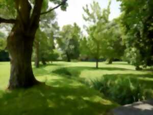 RDV aux jardins 2024 : le tapis aux 1000 trésors dans le parc Edouard André à La Croix-en-Touraine