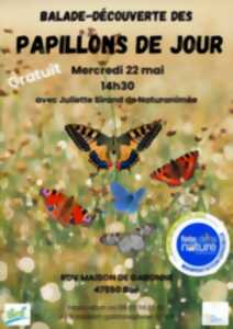Balade à la découverte des oiseaux hivernants