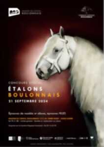 Concours Etalons Boulonnais