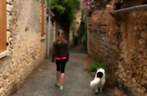 Balades cultures et nature | Templiers, élixirs et petites douceurs