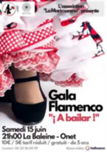photo Gala Flamenco : A Bailar