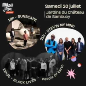 photo MILLAU JAZZ FESTIVAL : SUNSCAPE + STEV'IN MY MIND + BLACK LIVES, PEOPLE OF EARTH - 1 SOIRÉE = 3 CONCERTS (copie)