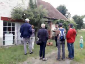 photo Visite guidée de l'arboretum