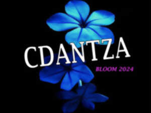 photo Spectacle de danse CDANTZA